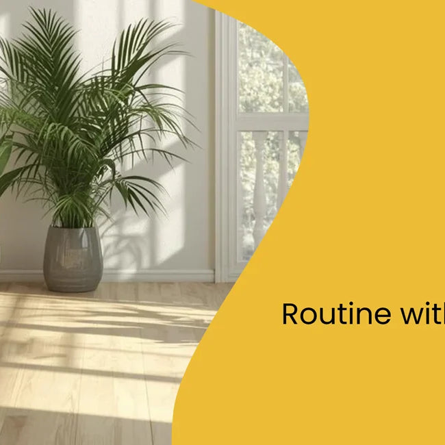 How to Build a Chemical-Free Cleaning Routine with Natural Cleaning Products